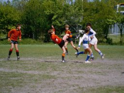 0DIA 1984 RAVA PUPS 1